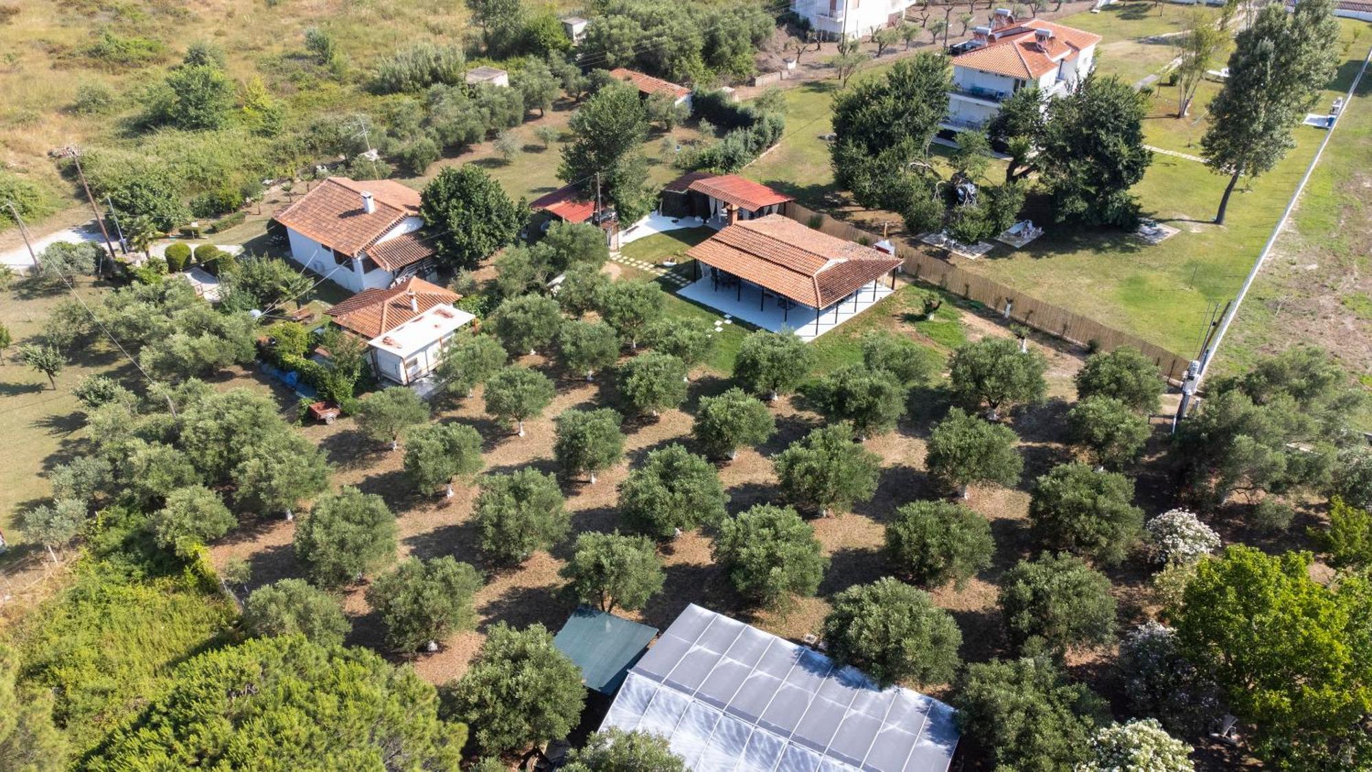 Casa Alelia Lagonisi Ormos Panagias Eksteriør billede