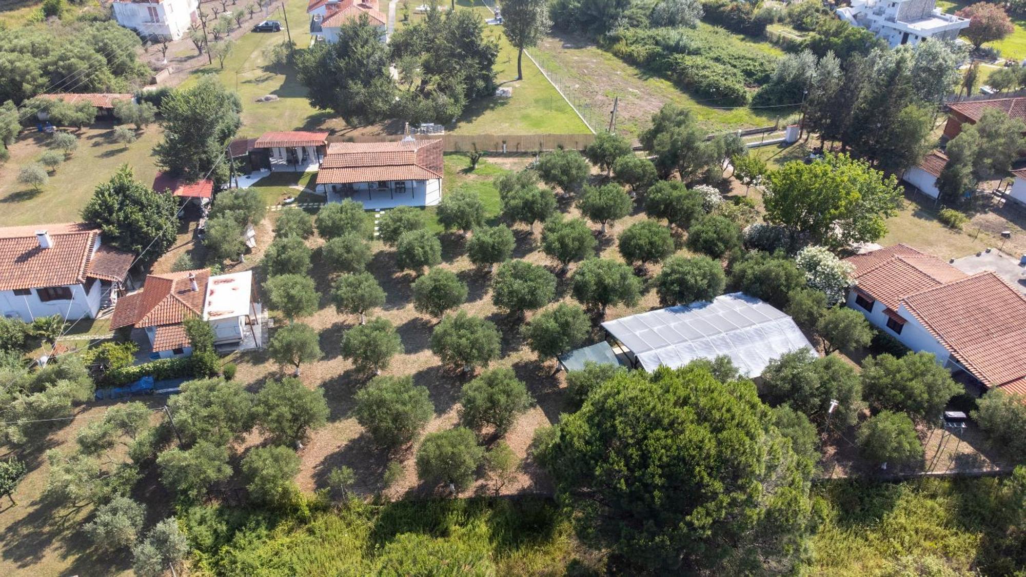 Casa Alelia Lagonisi Ormos Panagias Eksteriør billede
